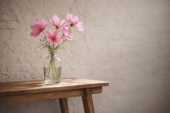 Herbstanemone - Still Life