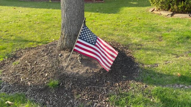 Small American Flag standing in a mound of mulch by a tree trunk on a lawn waving in the breeze