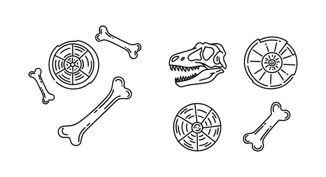 Dinosaur Bones and Fossils Icon Set
