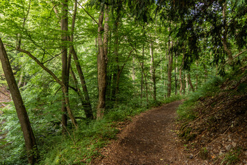 Fototapeta premium Hiking trail in Bode valley, Saxony-Anhalt state, Germany