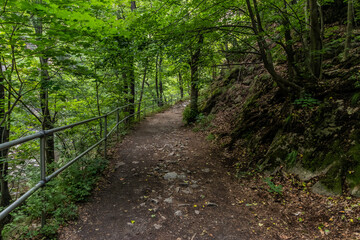 Fototapeta premium Hiking trail in Bode valley, Saxony-Anhalt state, Germany