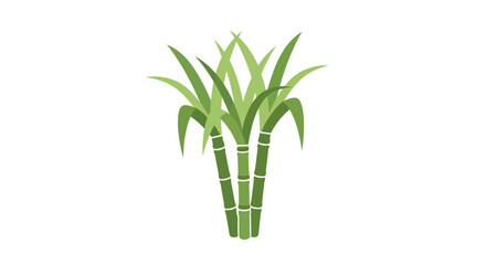 Obraz premium Stylized sugarcane plant illustration depicting agriculture and tropical growth