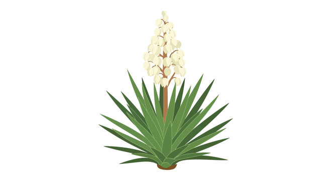 Stylized yucca plant illustration featuring a tall bloom against a white background