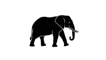 Fototapeta premium black elephant silhouette walking on white background