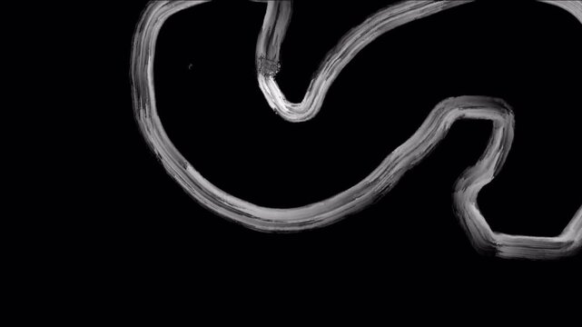Abstract white curved brush stroke with flowing organic shape, minimal ink line effect, artistic hand drawn wave element on dark background