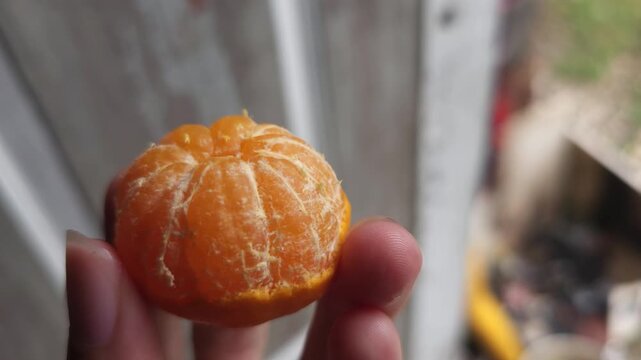 Hand holding a partially peeled mandarin orange exposing the juicy flesh and white pith against a blurred background
