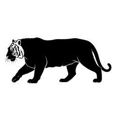 black tiger walking silhouette © Irma