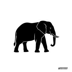 Fototapeta premium black silhouette elephant walking on white background