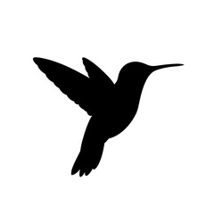 Obraz premium black hummingbird silhouette in flight isolated on white