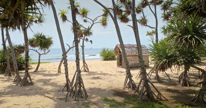 Port Resolution on Tanna Island, Vanuatu. White sand beach with pandanus trees leading to the clear ocean waves and a traditional hut nestled among the green foliage. Travel to tropical paradise