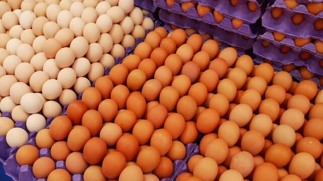 Abundance of fresh brown and white chicken eggs displayed in purple cartons at local farmer market stall.