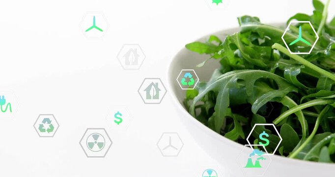 Vertical video: Emerging icons drifting toward greens bowl in studio showing eco icons, copy space