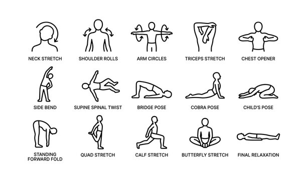 Illustrated guide to 15 simple stretching exercises for all ages