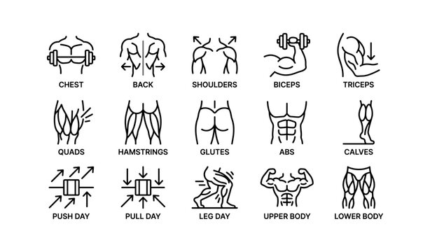 Workout icons for targeting specific muscle groups and fitness plans