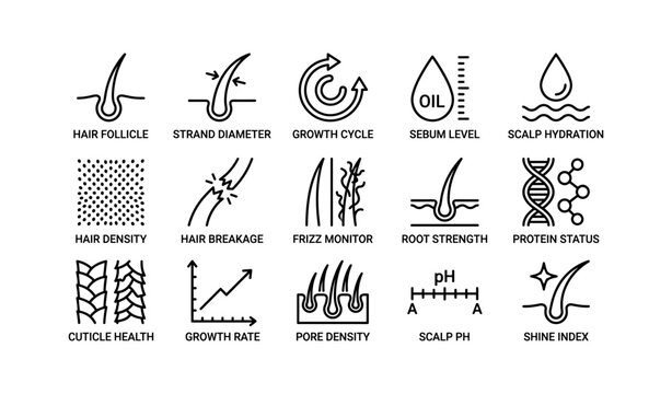 Hair health infographic: follicle, growth, scalp hydration, density, ph balance