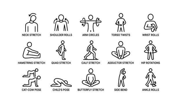 Illustrated guide to 15 full-body stretching exercises for flexibility and relaxation