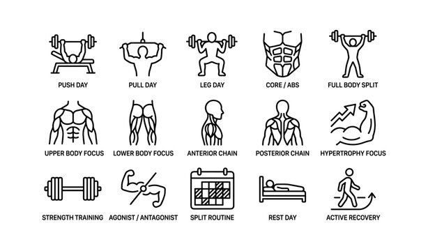 Comprehensive fitness routine icons: strength, core, cardio, recovery