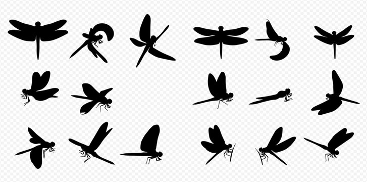 Set of various black dragonfly silhouettes on a transparent background, vector illustration.