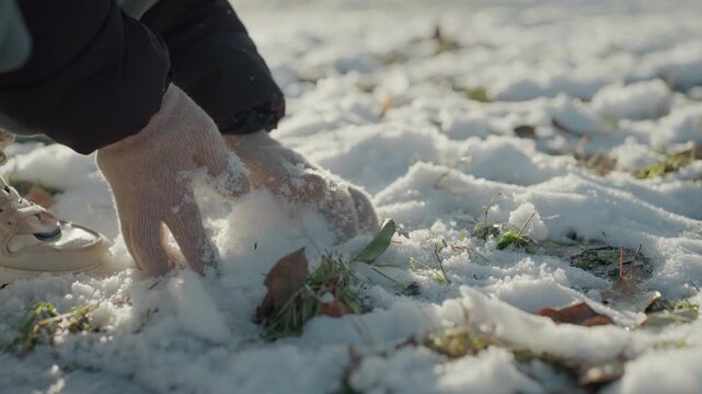 Gloved hands searching snowcovered grass, probing for hidden item near fallen leaves, soft morning light, delicate frost crystals, cautious closeup movement suggesting curiosity and quiet discovery