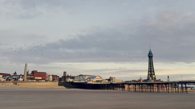 A Swarm of birds at night, at the beach of Blackpool, UK.