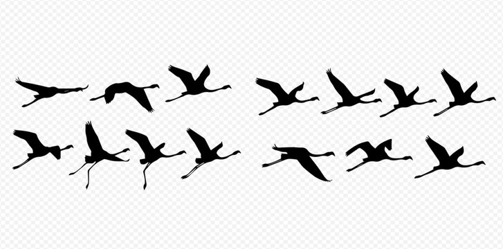 Flamingo flying animation frames or sequence sprites in black silhouette on a transparent background.