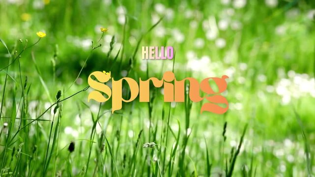 Retro Hello Spring Text on Vibrant Green Meadow with Blurred Wildflowers