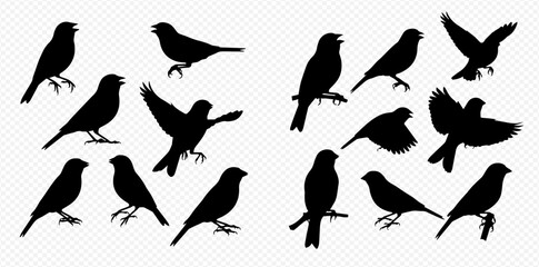 Collection of bird silhouettes in various poses including flying, perched, and standing, ideal for design elements. © Akun