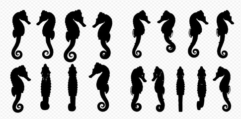 Set of black seahorse silhouettes with various poses and views isolated on a transparent background. © Akun