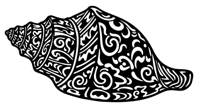 Black and white illustration of a conch shell with intricate tribal patterns and designs