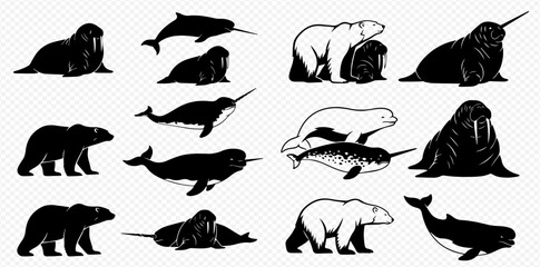 Arctic Animals Silhouettes Set: Polar Bears, Walruses, Narwhals, and Beluga Whales Vector Illustration. © Akun