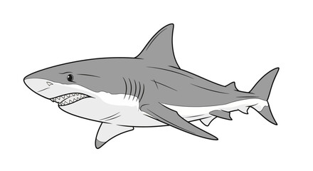 Obraz premium Gray shark swimming in ocean water.