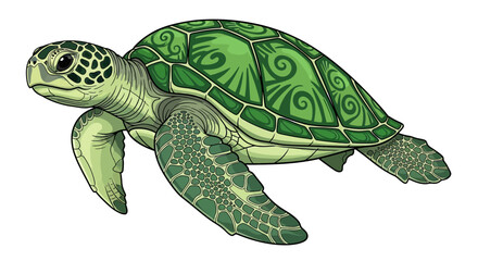 Green sea turtle with decorative shell. © ana