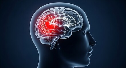 Obraz premium Translucent profile of a human head reveals a glowing red area within the brain, symbolizing headache or neurological affliction in a dark setting.
