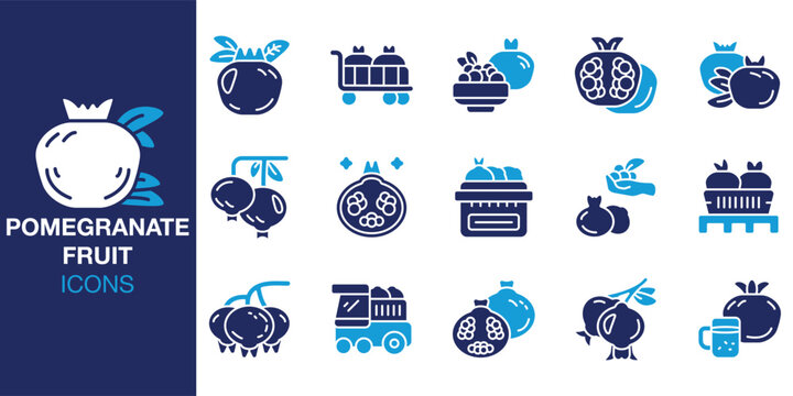 Pomegranate Fruit icon set. Containing pomegranate, fruit, red, seeds, fresh and more. Solid vector icons collection. Vector illustration.