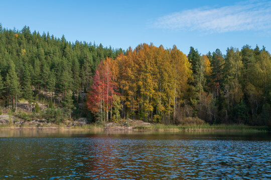 Small rocky islands in narrow bays in the Ladoga Skerries National Park, near the village of Lumivaara, on a sunny autumn day, Republic of Karelia, Russia