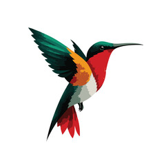 Fototapeta premium Colorful vector hummingbird
