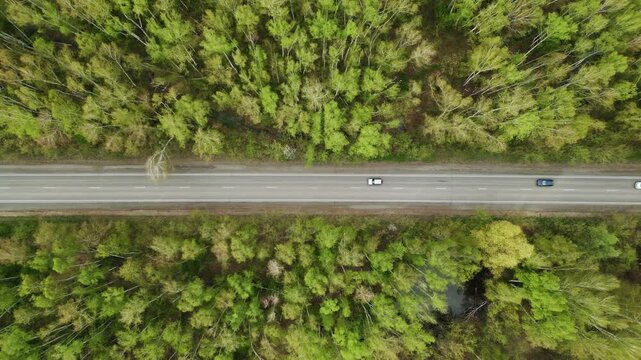 Aerial view of road through dense green forest. Cars travel calmly on narrow asphalt ribbon. No people visible, no animal species present. Ideal for travel, nature, or road journey visuals