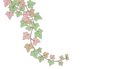 Ivy leaves with pink flowers. © paman
