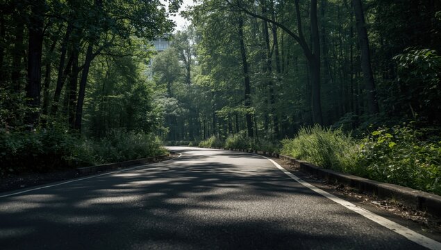View of asphalt road from a low angle