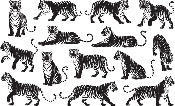 Collection of tiger silhouettes in various poses on transparent background, wild cats