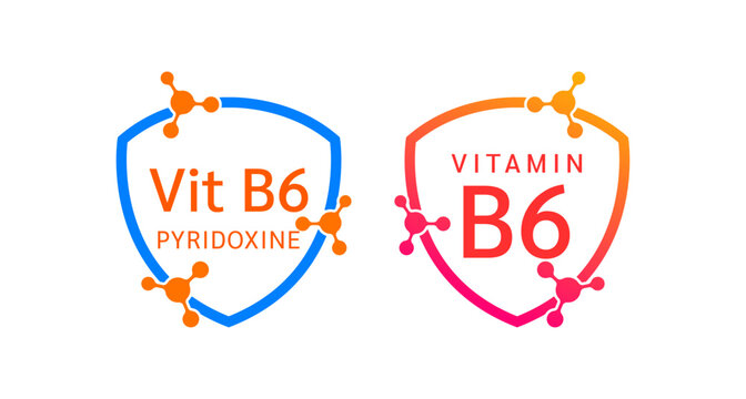 Vitamin B6 shield icon collection for product label design. Pyridoxine molecule form simple line. Isolated on a white background. Medical symbol concept. Vector EPS10 illustration.