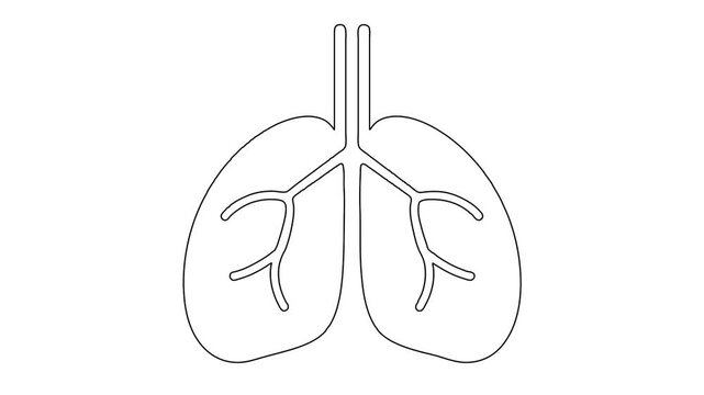 Human Lungs Anatomy Medical Whiteboard Styled Animation