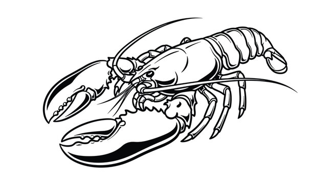 Detailed black and white line drawing of a lobster with its large claws and long antennae very clearly visible.