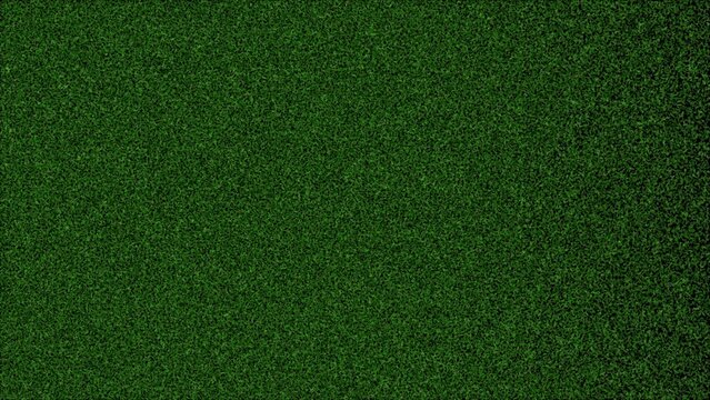 Abstract dark green textured background with dense grain noise and organic moss-like surface pattern
