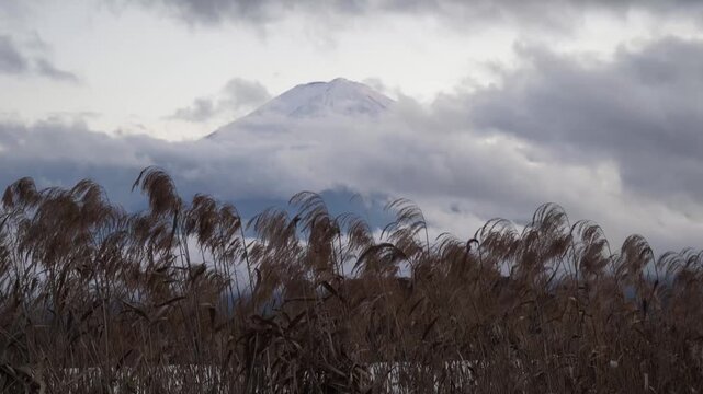 Mount Fuji Emerging Through Dramatic Clouds in Japan