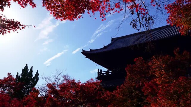 Japanese temple framed by red autumn leaves and blue sky