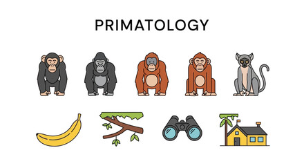Primatology Research and Animal Studies. © Faisal