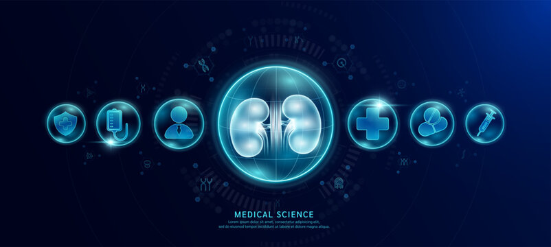 Science medical banner dark blue. Kidney hologram in transparent spherical dome along with the icons of a doctor plus sign and syringe. Vector EPS10.