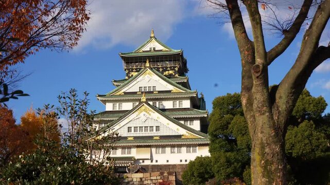 Japanese castle zoom shot with blue sky and autumn leaves