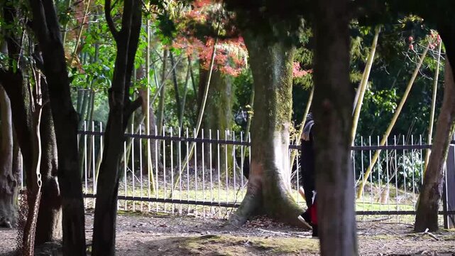 Man in kimono walking through park in Japan